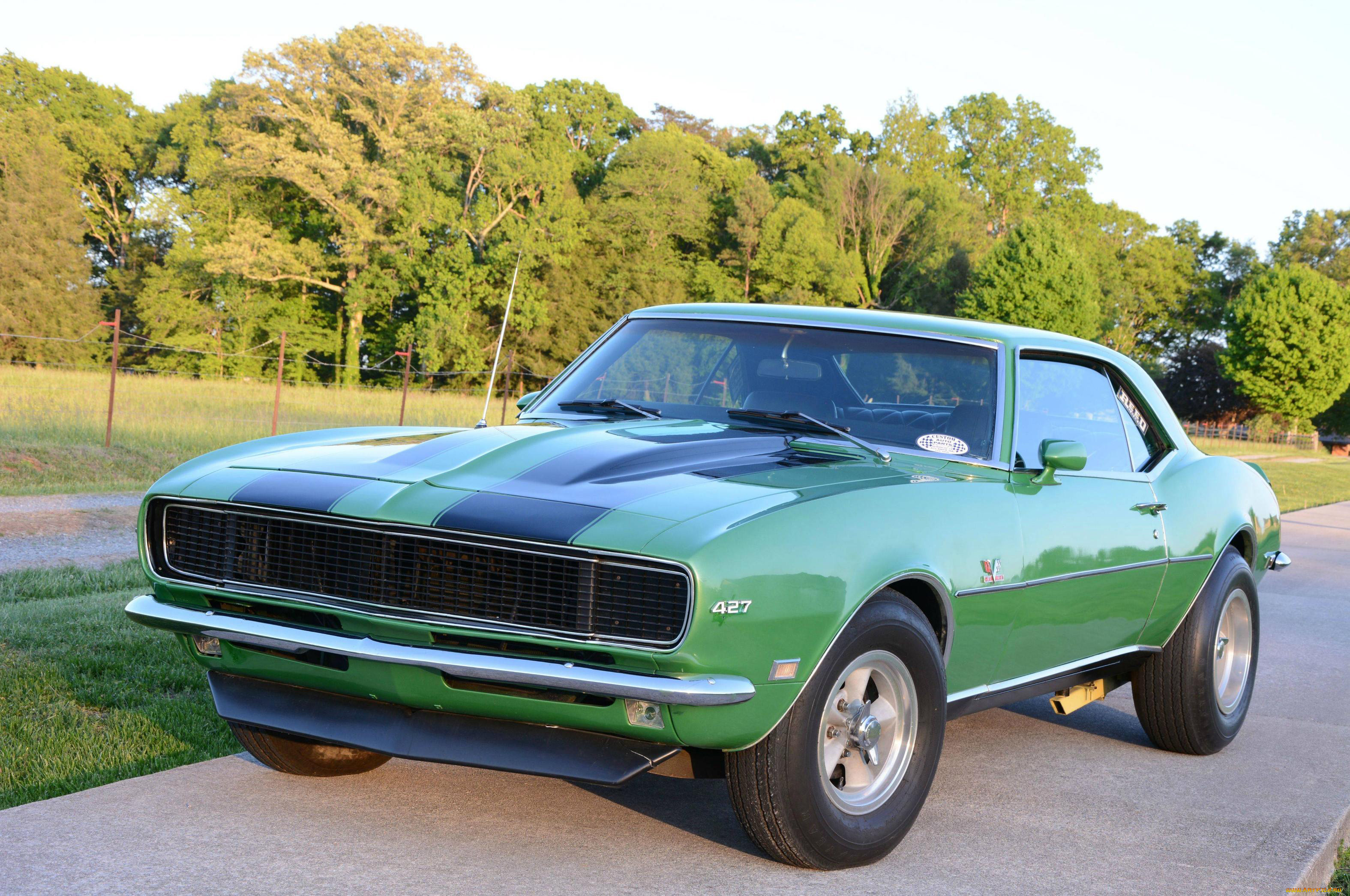 , camaro